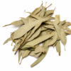 Eucalyptus